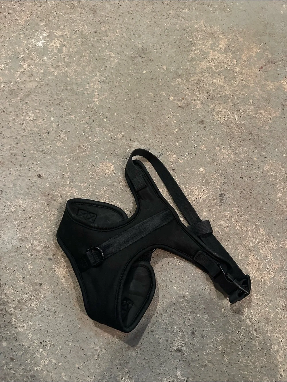 Small Dog Harness